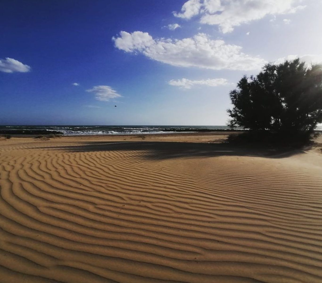 The beach